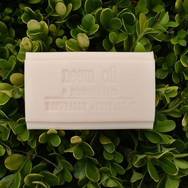 CLOVER FIELDS Neem &amp; Pomegranate Soap