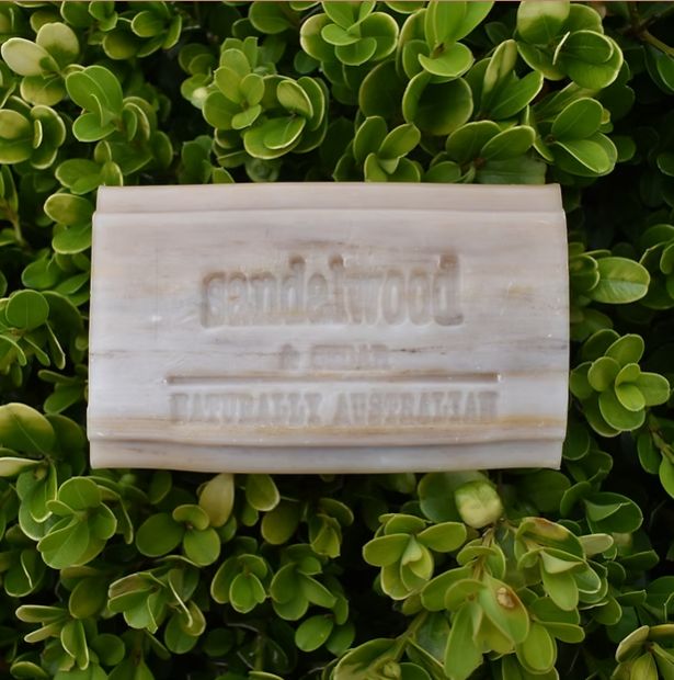 CLOVER FIELDS Sandalwood Cedar Soap