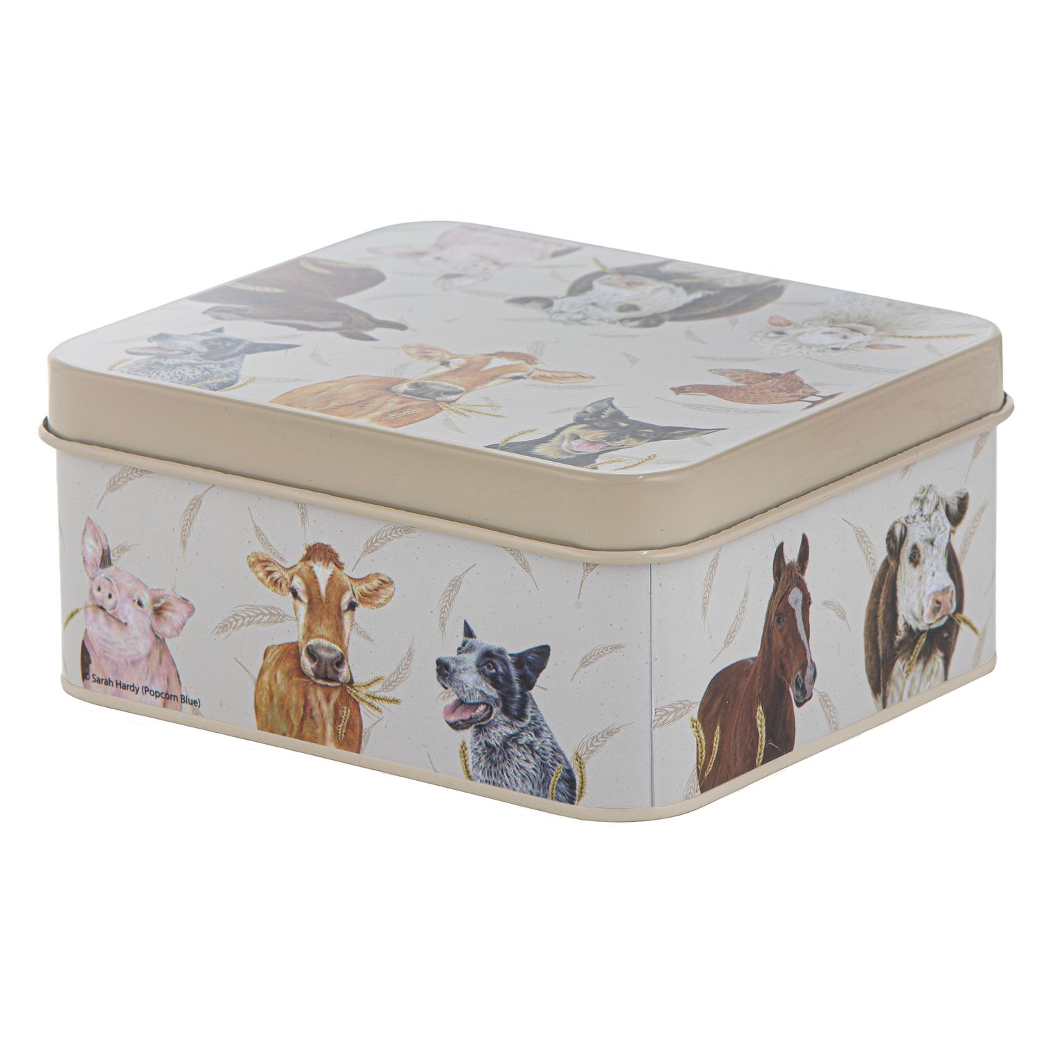 ASHDENE Farmyard Faces Biscuit Tin