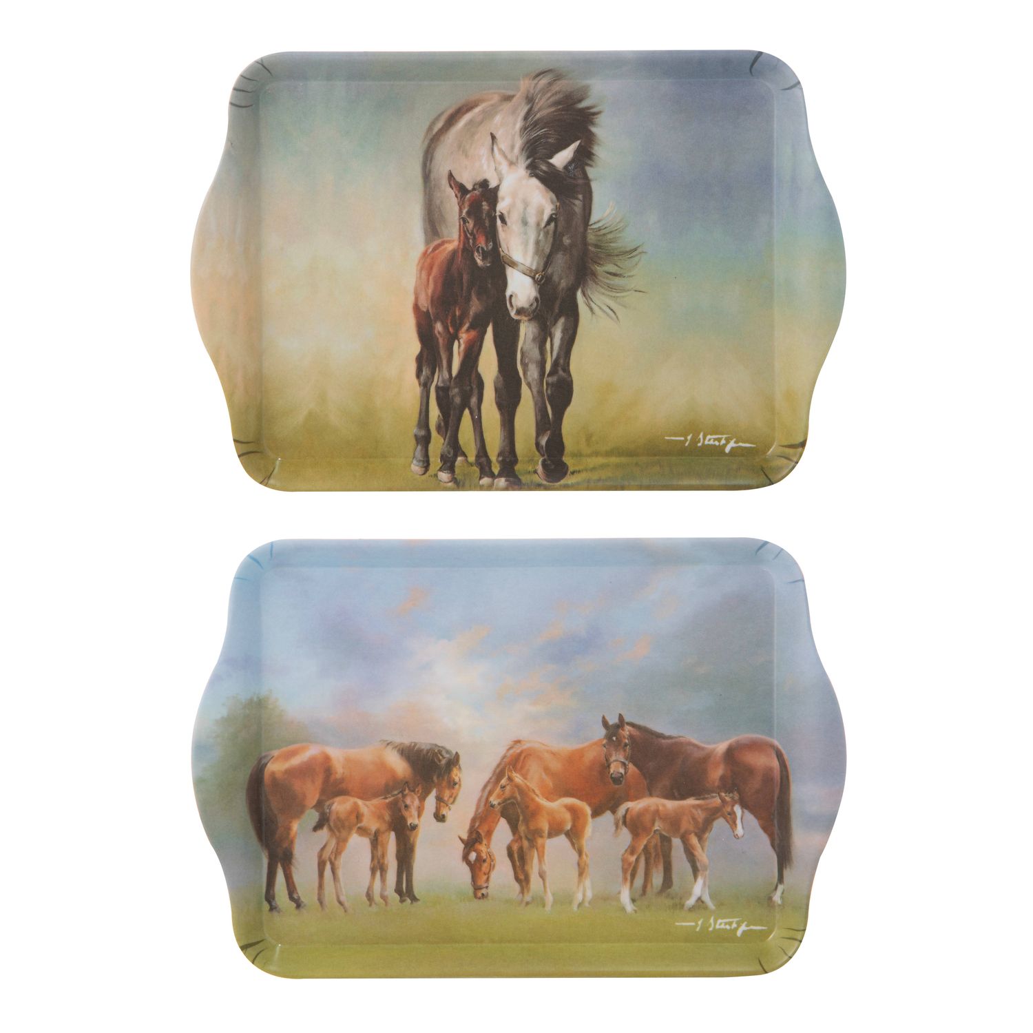 ASHDENE Mares &amp; Foals Grey/Paddock 2pk Scatter
