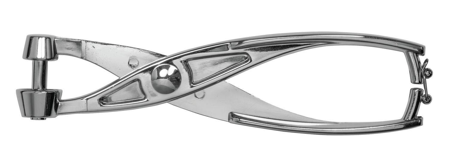AVANTI Alloy Cherry and Olive Pitter