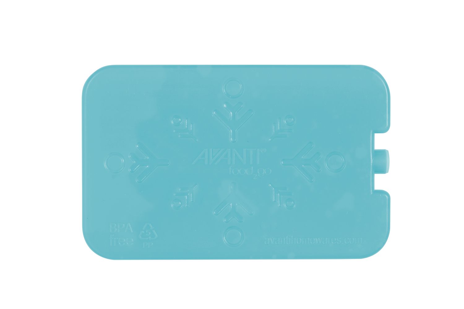 AVANTI Gel Ice Brick Set of 2