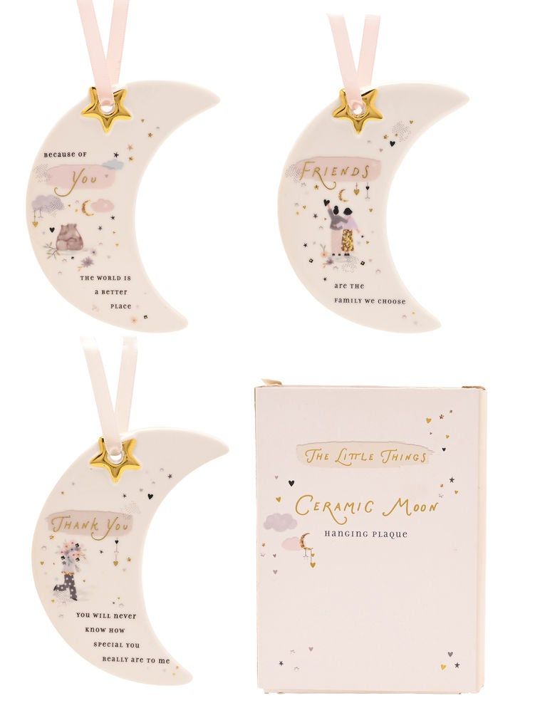 LITTLE THINGS Hanging Plaque