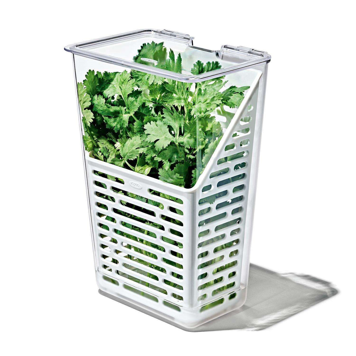 OXO Produce Saver Herb Keeper