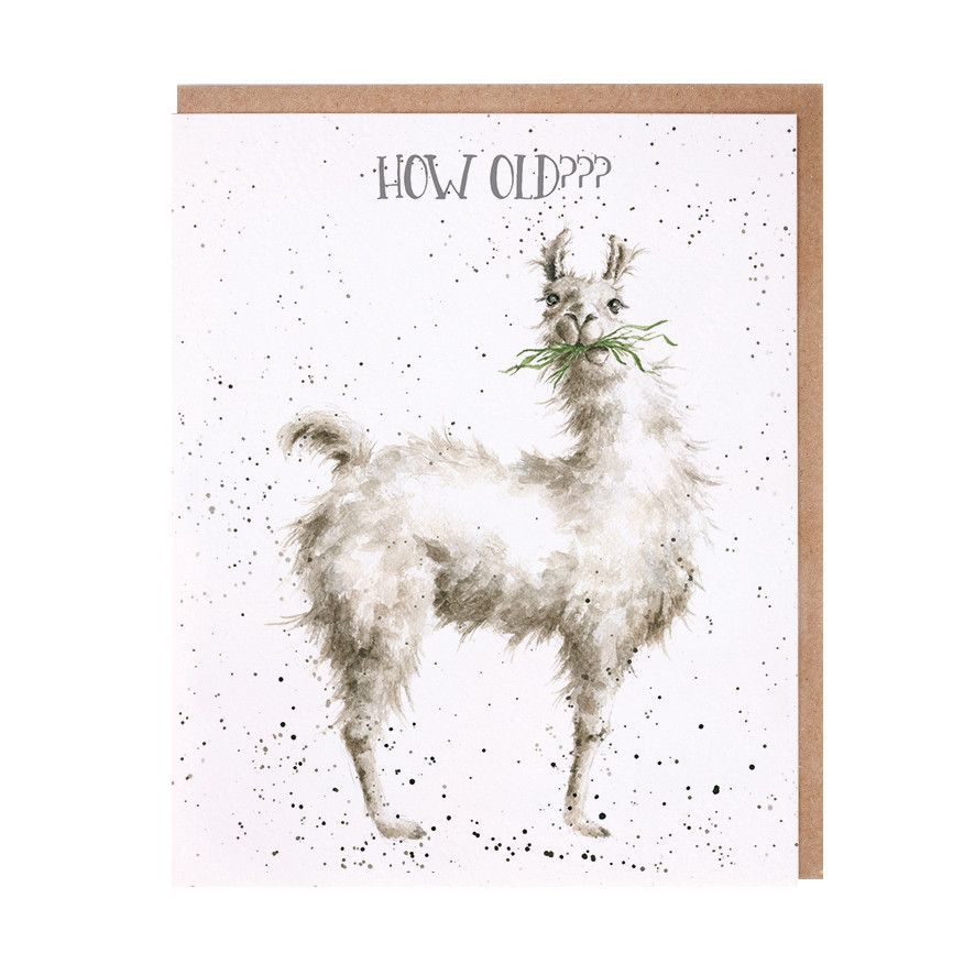 WRENDALE DESIGNS HB- How Old? Pg3 "wishing you a great birthday"