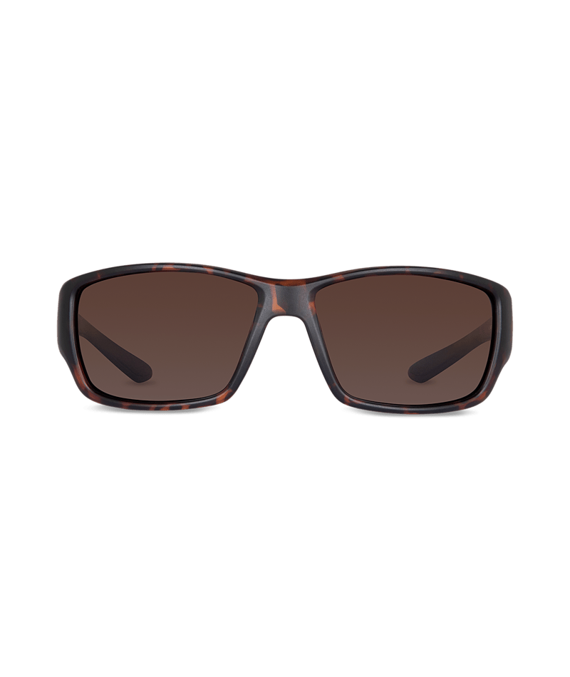 WOLLUMBIN Stradbroke Men's Sunglasses - Tort/Brown