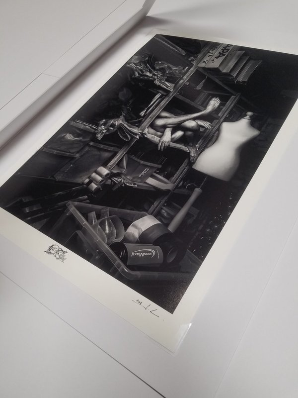 Limited Edition Fine Art Photograph Limited Edition Fine Art Photograph "Body Distorted" Chapter 1