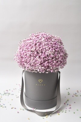 Classic Big Bucket "Cotton Candy" Classic Big Bucket "Cotton Candy"