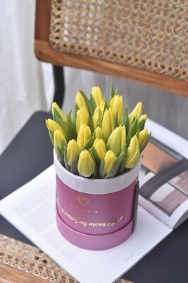 Classic Small Bucket: Tulips Classic Small Bucket: Tulips