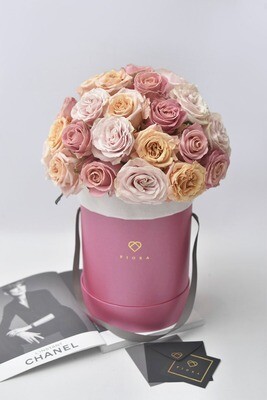 Classic Big Bucket: Domed Classic Big Bucket: Domed