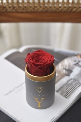 ForeverFiora (Single Rose) ForeverFiora (Single Rose)