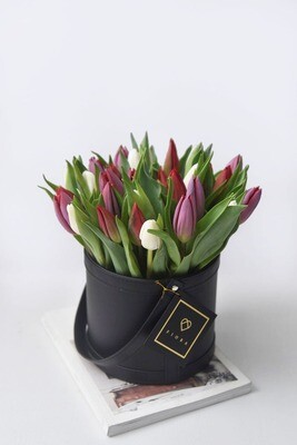 Lusso Petito: Tulips Lusso Petito: Tulips