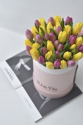 Classic Big Bucket: Tulips Classic Big Bucket: Tulips