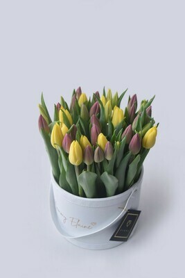 Lusso Medio: Tulips Lusso Medio: Tulips
