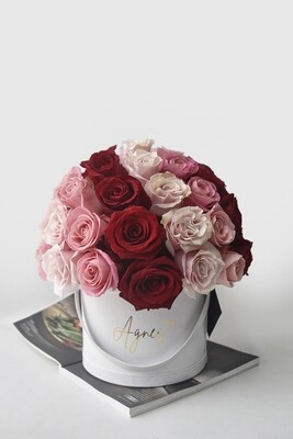 Lusso Bucket: Duomo Lusso Bucket: Duomo