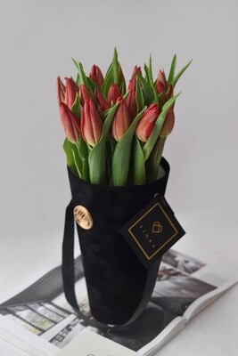 Flower Cone: Tulips Flower Cone: Tulips