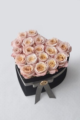 Heartbeat Roses Heartbeat Roses