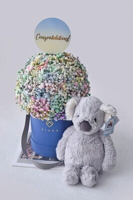 Celebrations Bundle! Celebrations Bundle!