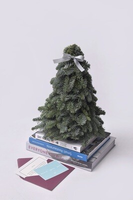 Fresh Mini Pine Tree (Bare) Fresh Mini Pine Tree (Bare)