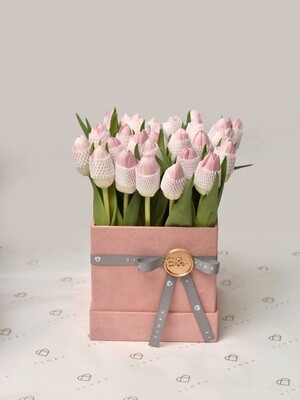 Suede Box Tulips 30 (Cube)