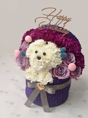 Puppy/Kitty/Custom Surprise