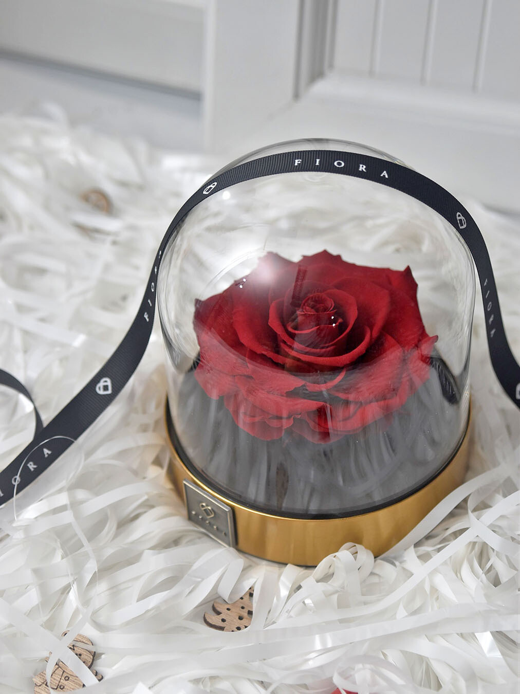 ForeverFiora: Preserved Rose Dome