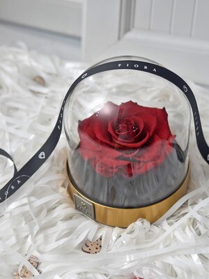 ForeverFiora: Preserved Rose Dome ForeverFiora: Preserved Rose Dome