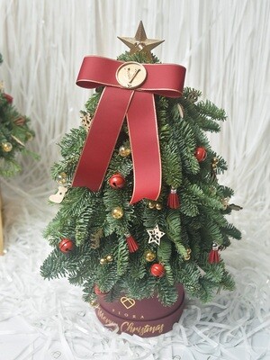 Fresh Mini Pine Tree (WITH ornaments)