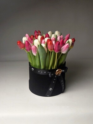 SUEDE BOX: TULIPS