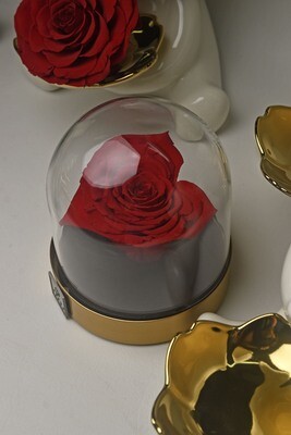 ForeverFiora Corazon: Preserved Rose Dome ForeverFiora Corazon: Preserved Rose Dome