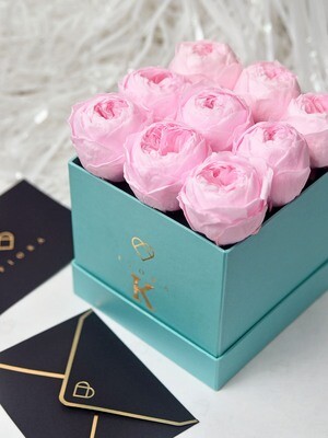 ForeverFiora: "Audrey" ForeverFiora: "Audrey"