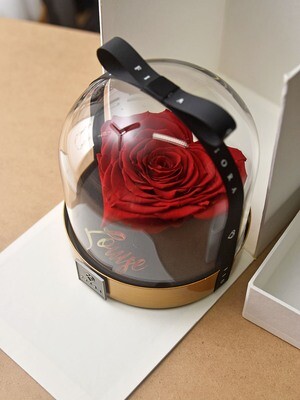 ForeverFiora: Rose Dome