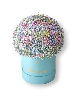Cotton Candy Medium