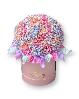 Cotton Candy Medium (with ruffles) Cotton Candy Medium (with ruffles)