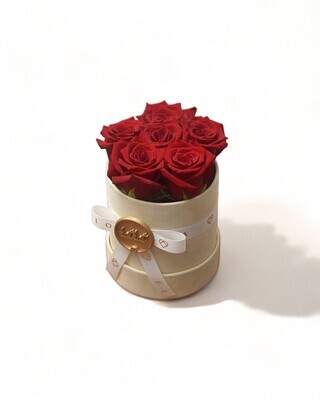 Suede Box Small