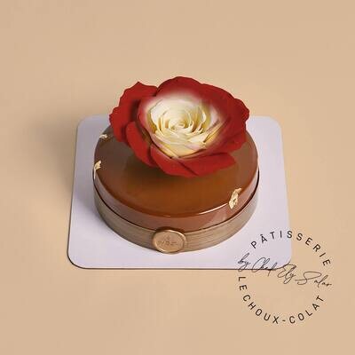 Entremet Cakes
