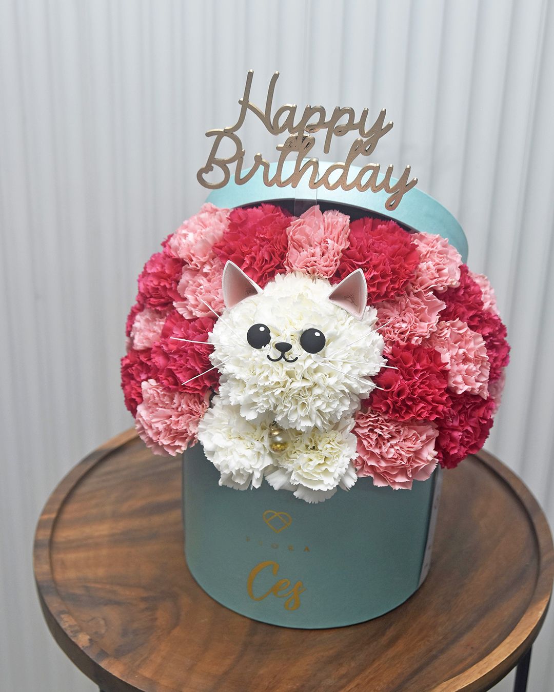 Kitty Surprise!