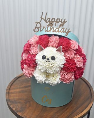 Kitty Surprise!