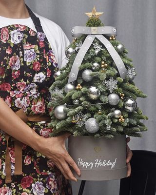 Shiny Silver-y Splendid! (40cm)