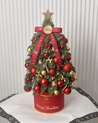 Holiday Red-dy! (40cm)