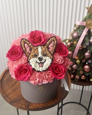 Puppy/Kitty/Custom Surprise