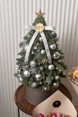 Shiny Silver-y Splendid! (40cm)