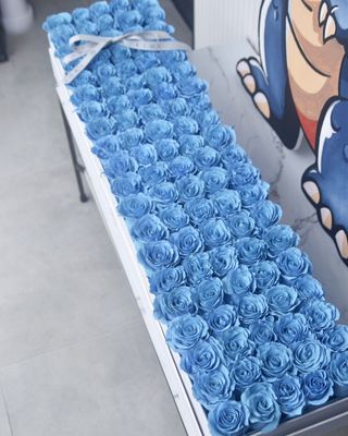Bed of Roses