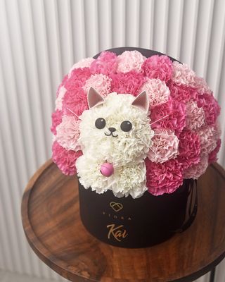 Kitty Surprise!