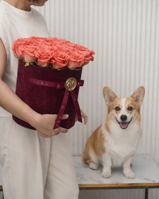 Suede Box Large: Roses