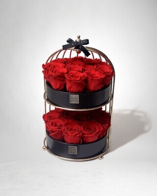 ForeverFiora "Uccellino" 2.0