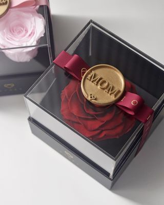 ForeverFiora: Timeless Rose (Acrylic Box)