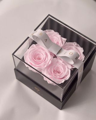 ForeverFiora: Timeless Rose (4in1)