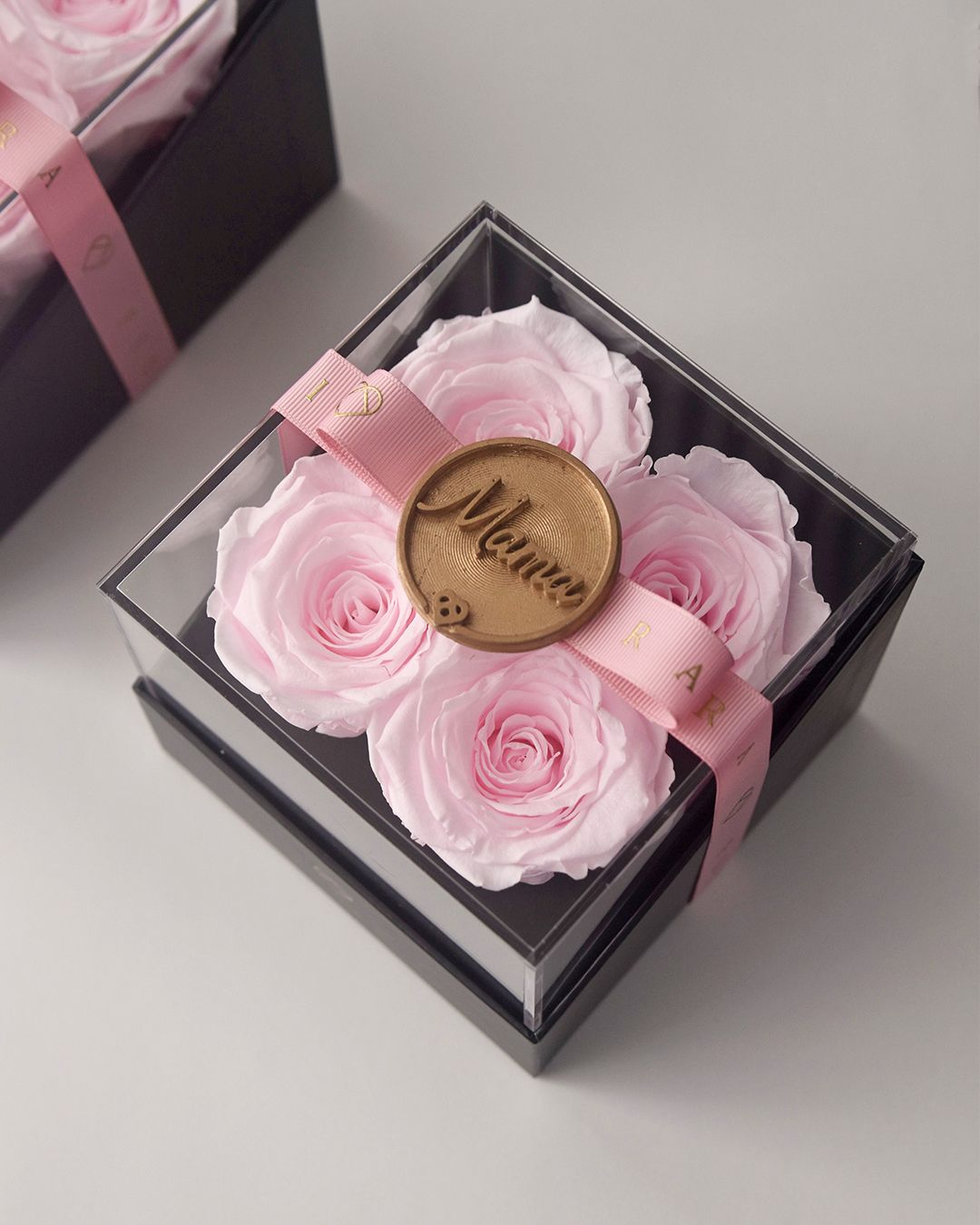 ForeverFiora: Timeless Rose (4in1)