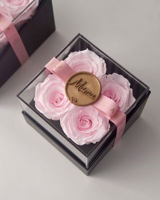 ForeverFiora: Timeless Rose (4in1)